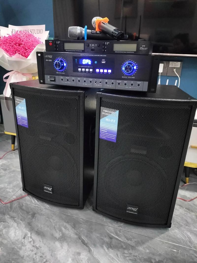 12寸音响套装选购指南 从家用K歌到专业舞台的音响器材全解析